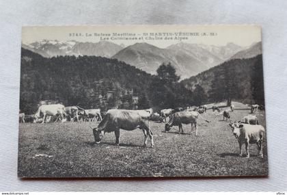 Saint Martin Vésubie, les Colmianes et chaîne des Alpes, Alpes Maritimes 06