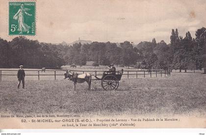 SAINT MICHEL SUR ORGE(PROPRIETE DE LORMOY)