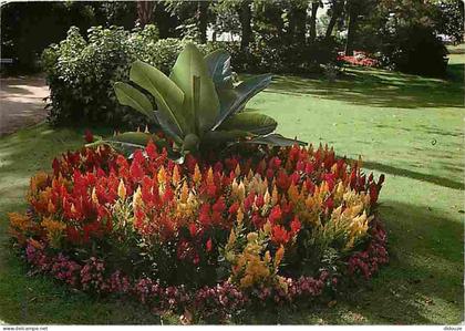 44 - Saint Nazaire - Au coeur de la ville les parcs et jardins offrent calme et repos - Fleurs - CPM - Voir Scans Recto-