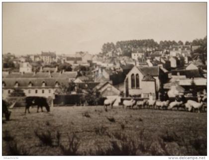 CPSM Saint Nicolas du Pelem. Vue générale