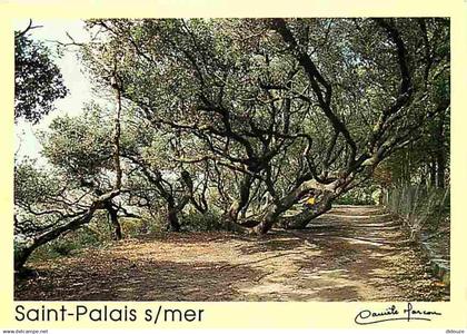 17 - Saint Palais sur Mer - Sentier des Yeuses - CPM - Voir Scans Recto-Verso