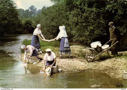 Saint remy en bouzemont "les morelles"