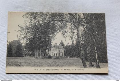 Saint Sauveur, le château des Baronnets, Yonne 89