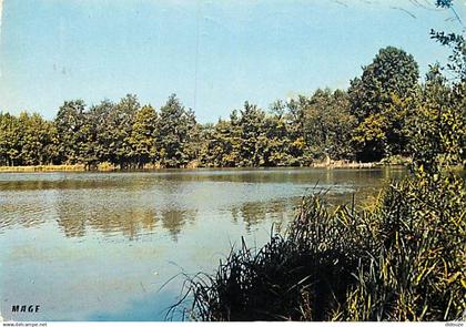 89 - Saint Valérien - Un coin de pêche - CPM - Voir Scans Recto-Verso