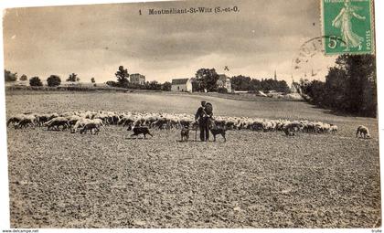 MONTMELIANT SAINT-WITZ BERGER AVEC SES MOUTONS