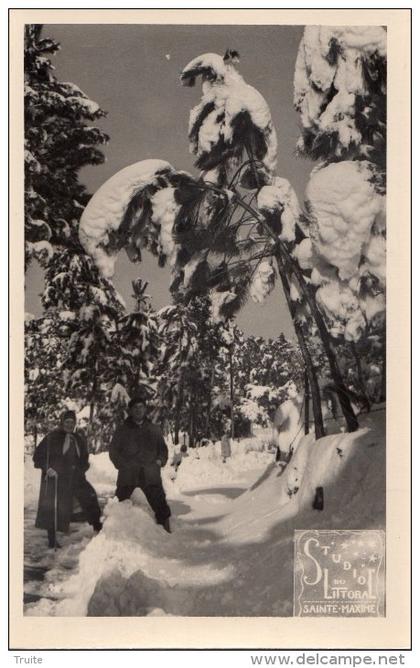 SAINTE-MAXIME FORET  SOUS LA NEIGE ANIMEE  CARTE PHOTO RARE