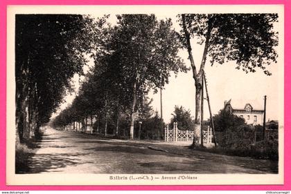 Salbris - Avenue d'Orléans - Édition Mlle HEMME