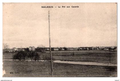 Salbris - Le Pré aux Canards