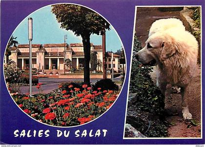 31 - Salies du Salat - CPM - Voir Scans Recto-Verso