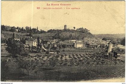 Carte Postale Ancienne de SALIES DU SALAT-vue générale