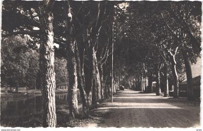 FR11 SALLELES D'AUDE - les quais  belle