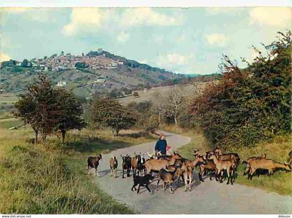 18 - Sancerre - Paysage d'automne à Sancerre - Chèvres - Berger - Paysans - CPM - Voir Scans Recto-Verso