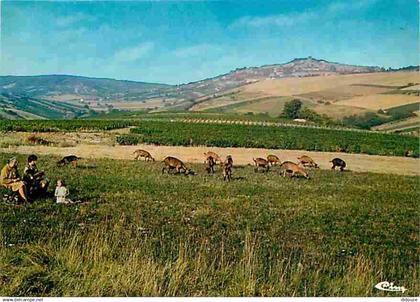 18 - Sancerre - Sancerre, vu de Bellechaume - Chèvres - CPM - Voir Scans Recto-Verso