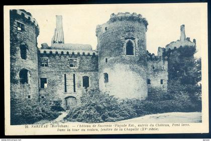 cpa du 56 Sarzeau château de Suscinio entrée du Château LANR49