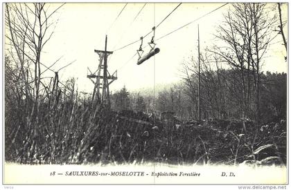 Carte Postale Ancienne de SAULXURES sur MOSELOTTE