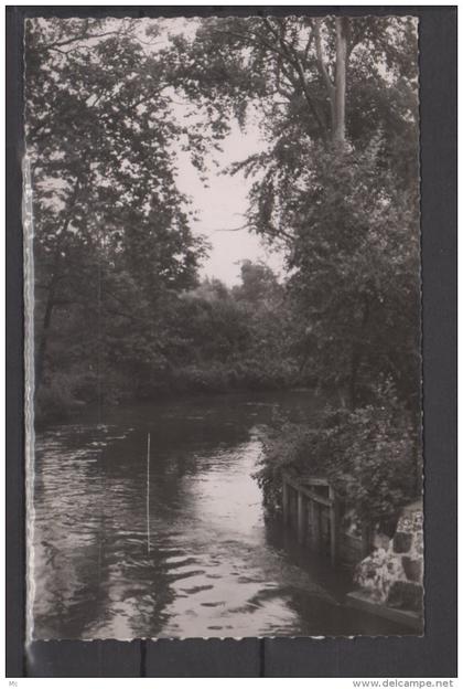 91 - Savigny sur Orge - Bords de l'Orge  - Carte Photo