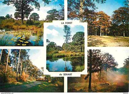 91 - Senart - La Foret de Senart - Multivues - CPM - Voir Scans Recto-Verso