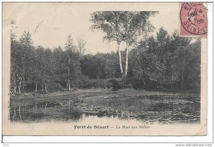 FORET DE SENART - La Mare aux Biches