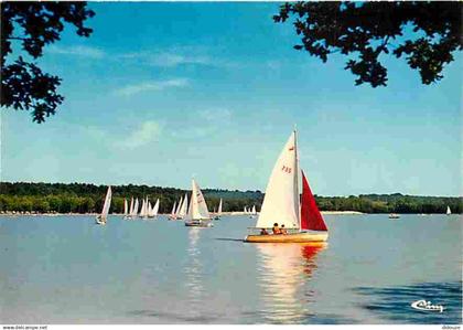 72 - Sillé le Guillaume - Sillé Plage - Le Lac - CPM - Voir Scans Recto-Verso