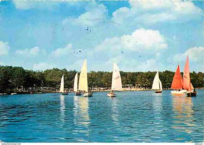 72 - Sillé le Guillaume - Sillé Plage - Yachts sur le Lac - CPM - Voir Scans Recto-Verso