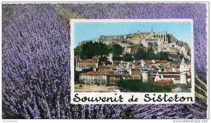 CPSM 04 SOUVENIR DE SISTERON