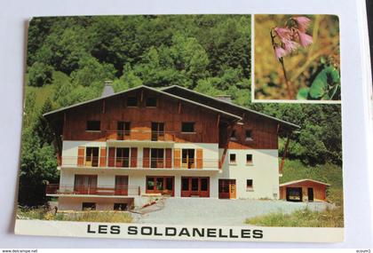 sixt fer à cheval - chalet les soldanelles - centre de vacances