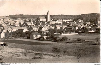 St-Arnoult-en-Yvelines - Panorama