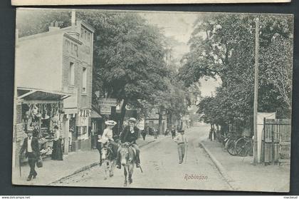 Saint Quentin en yvelines - Robinson , parisiens à cheval sur des anes -maca 4632