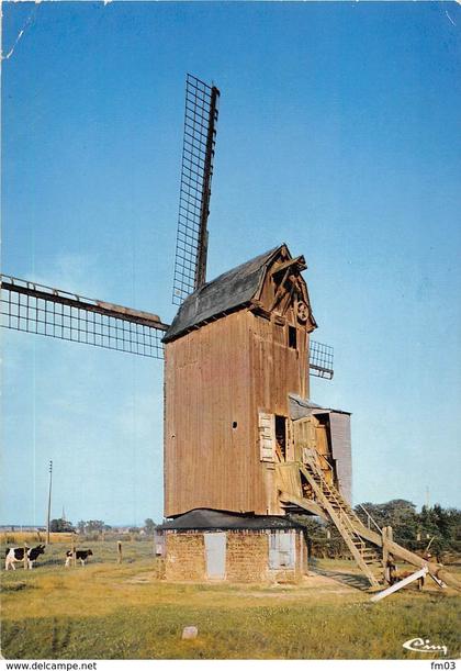 Steenvoorde moulin