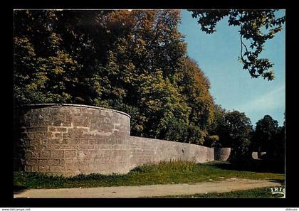 17 - Surgères - Les douves faisant partie de l'enceinte du château des Comtes de Surgères - CPM - Voir Scans Recto-Verso