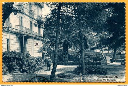 Cp Bleutée Dentelée - Tamaris sur Mer - Villas des Tamaris - Animée - 1938 - Oblit. TAMARIS