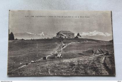 Taninges, hôtel du Praz de Lys et le mont Blanc, Haute Savoie 74