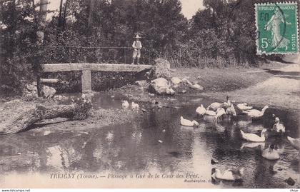 TREIGNY(CANARD)