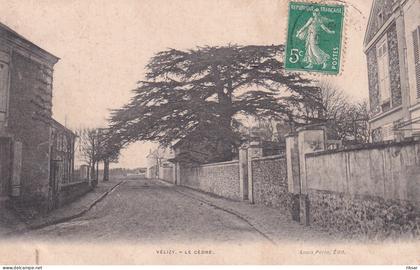 VELIZY(ARBRE) CEDRE