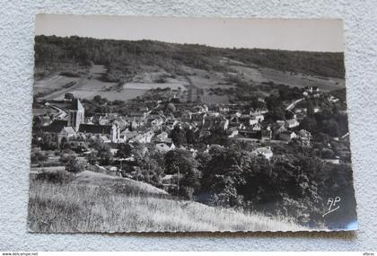 Cpm, Vetheuil, panorama, Val d'Oise 95