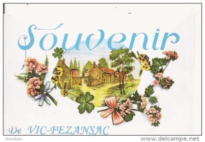 VIC FEZENSAC CARTE FANTAISIE  "SOUVENIR DE VIC FEZENSAC"  492