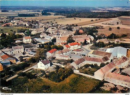 PIE-F-V-17-1304 :  VILLEBOUGIS. VUE AERIENNE