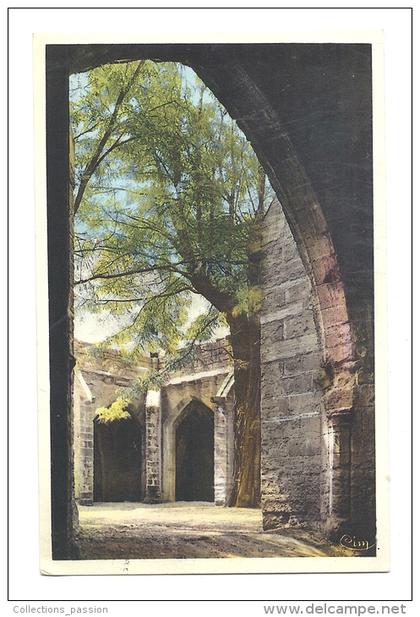 cp, 30, Villeneuve-lès-Avignon, Cloître de l'Eglise