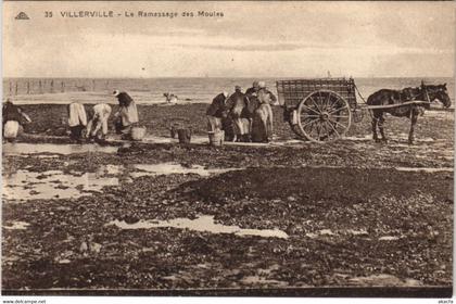 CPA VILLERVILLE - Le Ramassage des Moules (141151)