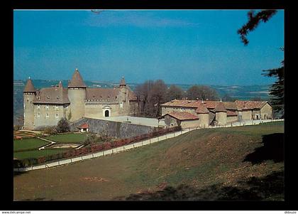 38 - Virieu sur Bourbre - Le Château - Carte Neuve - CPM - Voir Scans Recto-Verso