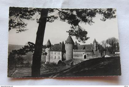 J395, Cpsm, Virieu sur Bourbre, le vieux château, Isère 38