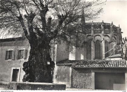 CPSM Viviers-sur-Saône La Place de l'Ormeau