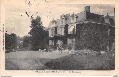 ¤¤  -   VOUNEUIL-sous-BIARD   -   Chateau " La Luzanderie "   -   ¤¤