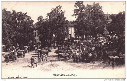 Carte Postale Ancienne de XERTIGNY