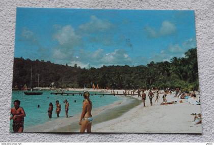 Cpm, Saint Barthélémy, plage du club sainte Anne, Guadeloupe