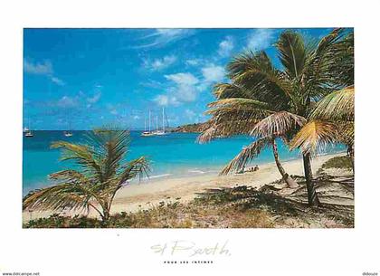 Guadeloupe - Saint Barthelemy - Colombier - CPM - Voir Scans Recto-Verso