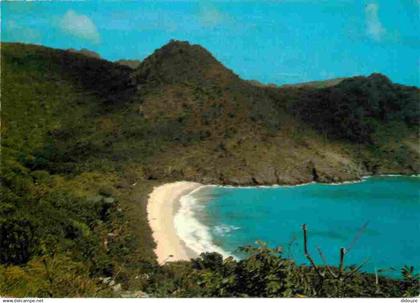 Guadeloupe - Saint Barthelemy - La plage du Gouverneur - CPM - Voir Scans Recto-Verso