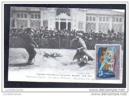 13 - MARSEILLE - EXPOSITION CANINE - LES CHIENS POLICIERS - ARRESTATION ... VIGNETTE EXPO D'ELECTRICITE