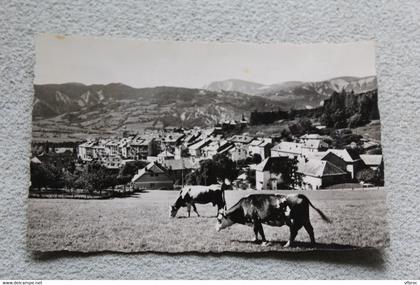 Cpsm, Seyne les Alpes, vue générale, la Pare, Alpes de haute Provence 04