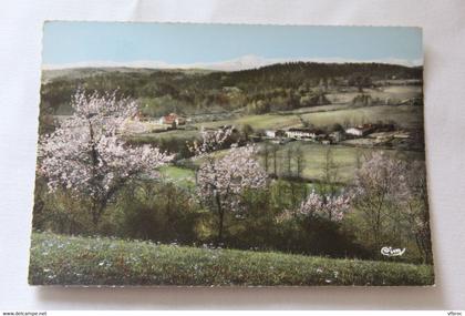 Cpm 1965, Sainte Croix Volvestre, Mataly et la scierie, la forêt de sapins, Ariège 09